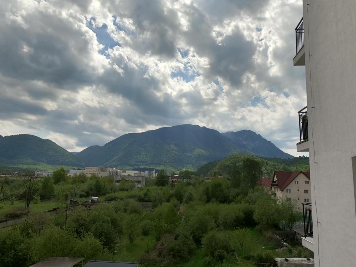 Panoramic Residence Zarnesti Ngoại thất bức ảnh